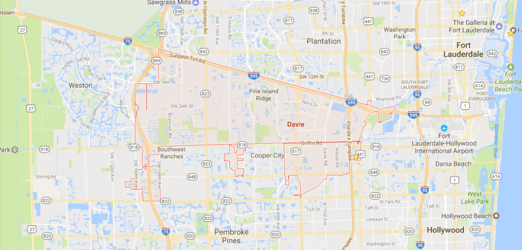 Davie SEO | Florida Search Specialists