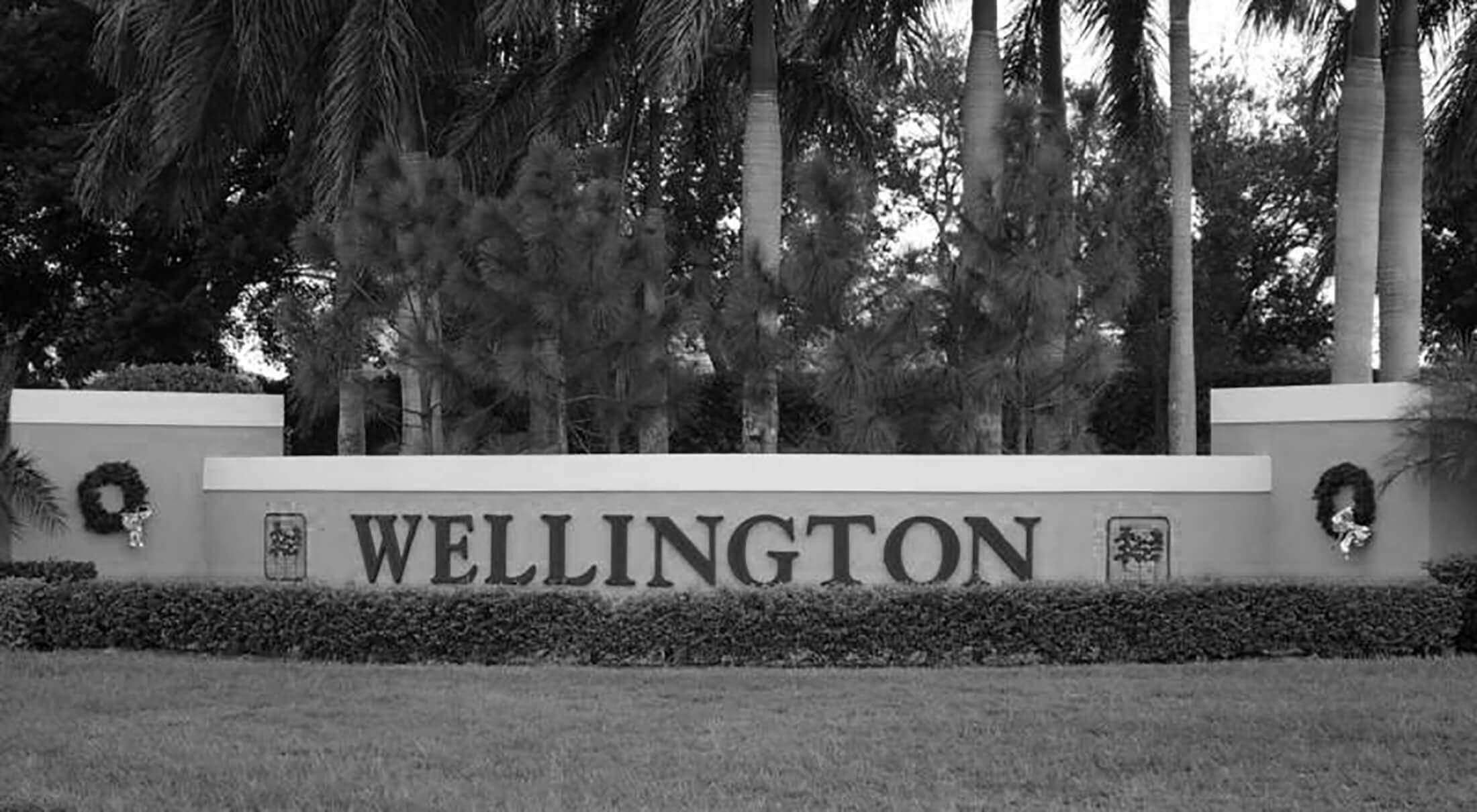 Wellington SEO | Palm Beach County SEO | Services